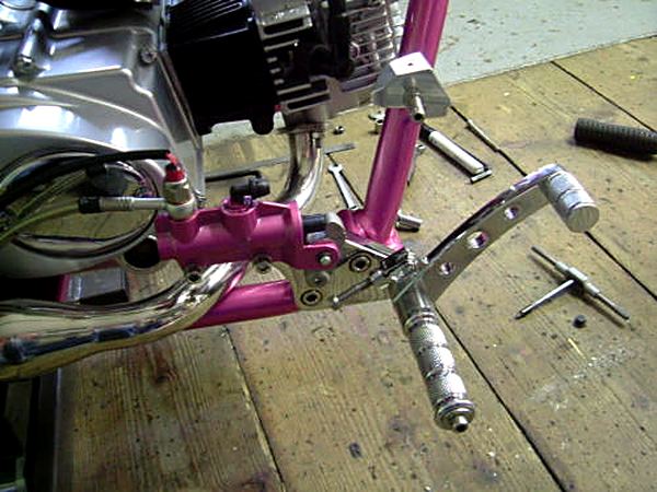 Little Pinky – Bild 2