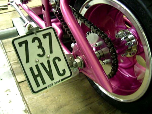 Little Pinky – Bild 5