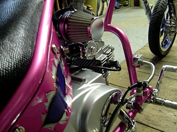 Little Pinky – Bild 9